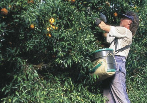 Leitfaden für eine frustfreie Jobsuche